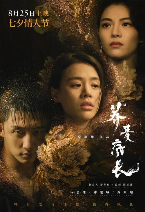 做个教师证